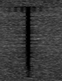 File:Long Dash (up close).png