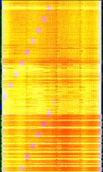 LTE OR 10 downlink.jpg