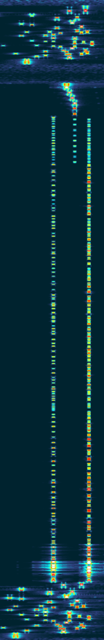 Jdfg.PNG